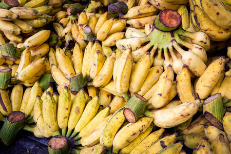 从有机园果收获香蕉成熟栽培香蕉质地背景接近市场热带水果