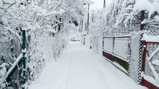 战斗都在雪地里. 下雪后的早晨.照片