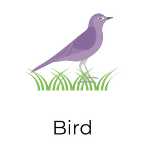 鸟类的平面矢量图标。