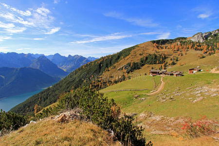 奥地利达尔法扎姆高山牧场