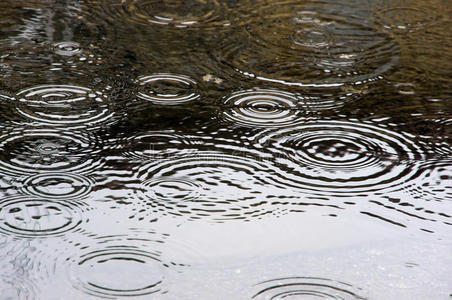 初七雨水图片图片