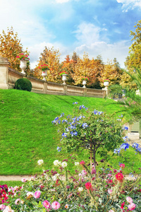 卢森堡花园卢森堡花园