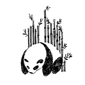 可爱的熊猫在图形风格与竹子.向量手绘的例证照片