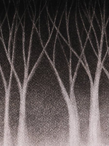 黑木林。黑暗的背景。手绘在纹理纸柔和例证