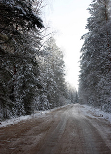 冬季森林。 风景优美的道路