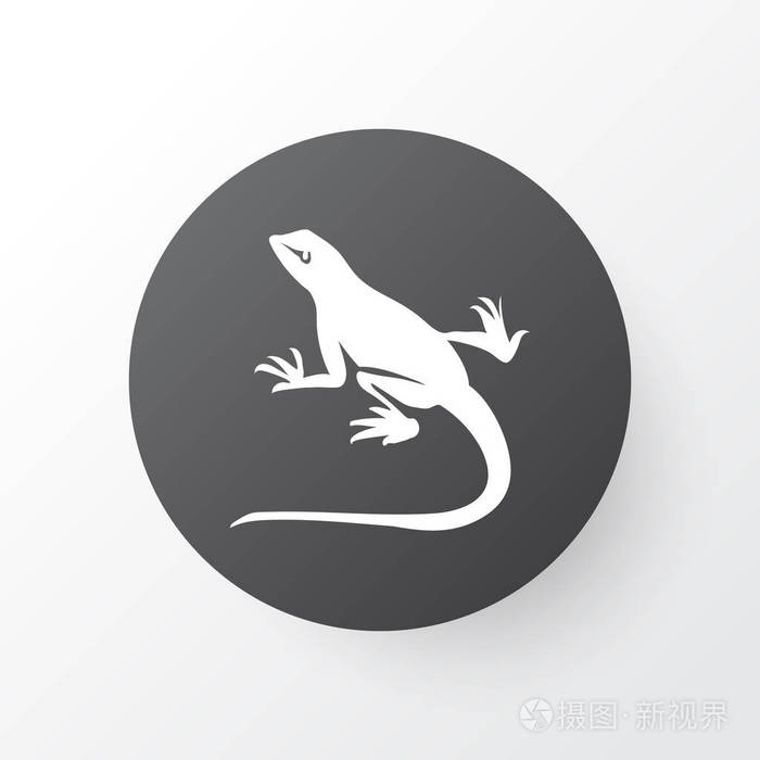 蜥蜴图标符号.时尚风格的优质隔离壁虎元素