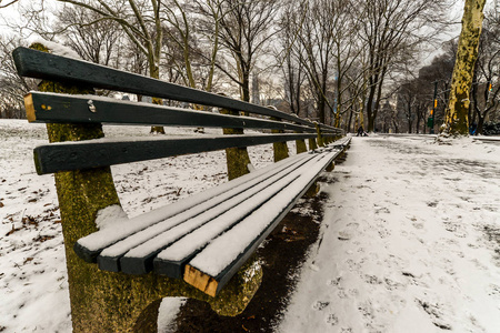 在中央公园下雪后的早晨
