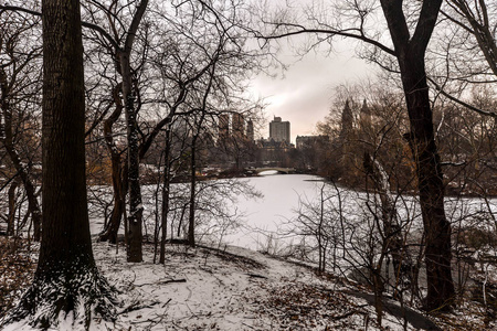 在中央公园下雪后的早晨