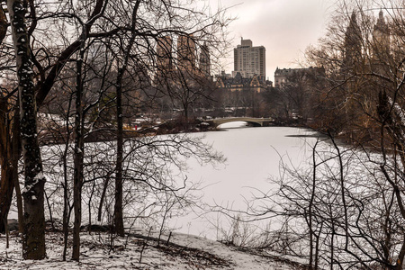 在中央公园下雪后的早晨