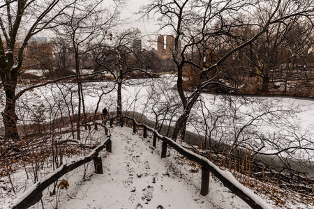 纽约美国011819日清晨中央公园下雪后