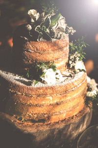 为新娘拍摄的乡村和现代婚礼蛋糕的真实照片。