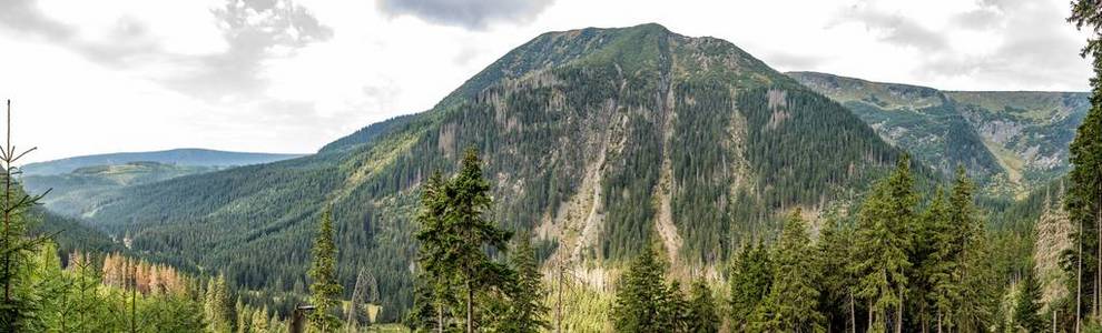 通过捷克共和国的森林通往山脉的道路。 美丽的全景自然在山上是自然的奇迹。 夏日的心情。