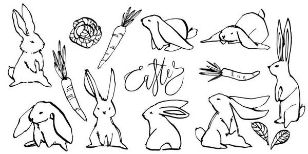 收集一些可爱的兔子, 手绘插图。可爱兔的绘制矢量插图集人物设计