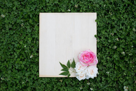 绿色草地上五颜六色的玫瑰和木板。 爱的概念。