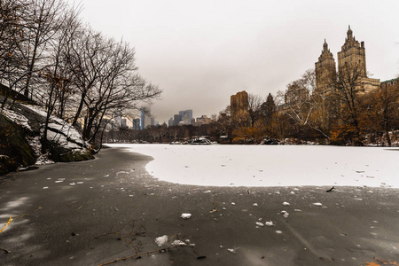 在中央公园下雪后的早晨