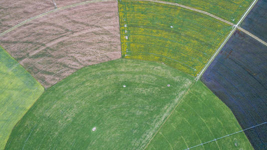 从新西兰无人驾驶飞机上看到的圆形种植场