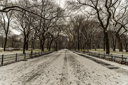 在中央公园下雪后的早晨