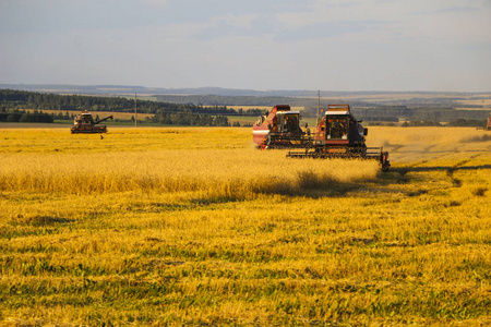 联合收割机。 老联合收割机在麦田上工作，Kombain收集小麦作物。 农业机械在田间。
