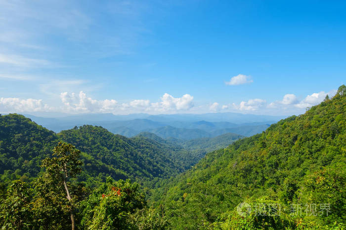 泰国清迈沙蒙区热带森林山