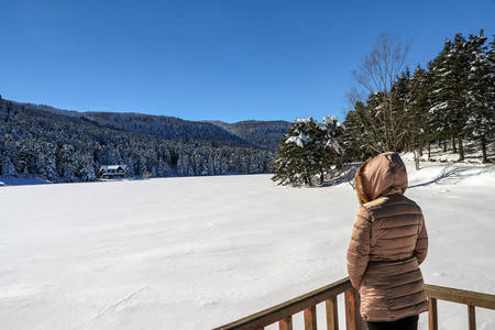 古尔库博鲁火鸡冬季雪景。 旅游概念照片。