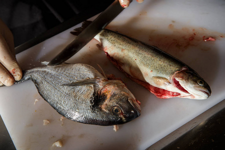 特写新鲜鳟鱼和多拉多鱼准备用刀清洁，躺在白色的切割板上。