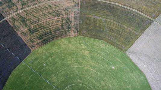 从新西兰无人驾驶飞机上看到的圆形种植场