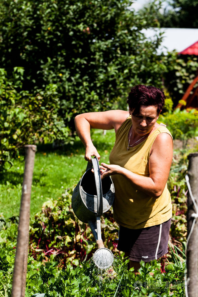 一个拿着集装箱的女人的正面.勤劳的园丁在菜园里给植物浇水.