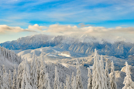 在特兰西瓦尼亚松林滑雪场的坡亚纳布拉索夫滑雪场的全景，在冬天的季节，山间景观在冬天，背景是布西吉山