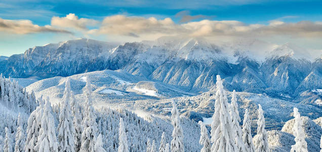 在特兰西瓦尼亚松林滑雪场的坡亚纳布拉索夫滑雪场的全景，在冬天的季节，山间景观在冬天，背景是布西吉山