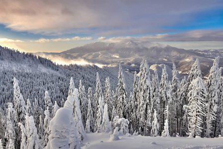 在特兰西瓦尼亚松林滑雪场的坡亚纳布拉索夫滑雪场的全景，在冬天的季节，山间景观在冬天，背景是布西吉山