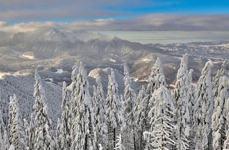 在特兰西瓦尼亚松林滑雪场的坡亚纳布拉索夫滑雪场的全景，在冬天的季节，山间景观在冬天，背景是布西吉山