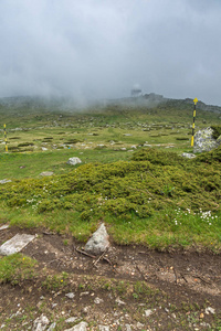 保加利亚舍尼弗拉峰附近维托沙山青山景观