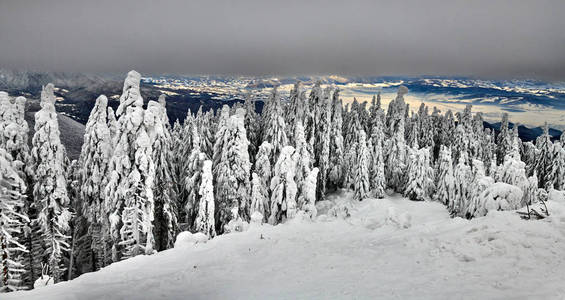 波阿纳布拉索滑雪斜坡全景，背景为布塞吉山