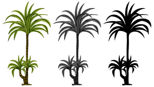 一套植物设计插图
