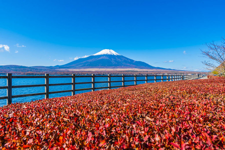 日本子湖周围富士山的美丽景观