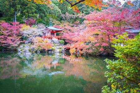 日本京都，秋季有五颜六色的树木和树叶的美丽的大宫寺