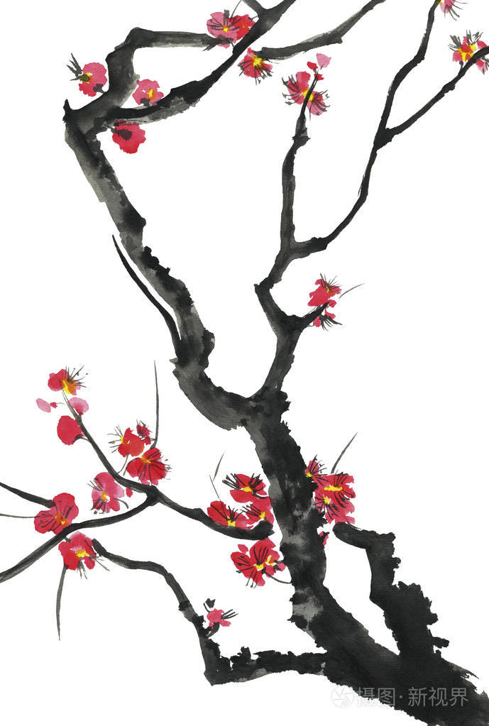 水彩和水墨插图的树风格相扑. 东方传统绘画.
