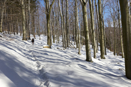 白雪皑皑的北波西米亚风景杰泽斯克山脉捷克共和国