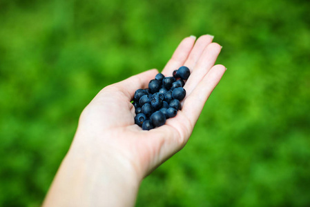 女孩拿着蓝莓与森林在背景照片