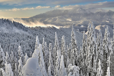 在特兰西瓦尼亚松林滑雪场的坡亚纳布拉索夫滑雪场的全景，在冬天的季节，山间景观在冬天，背景是布西吉山