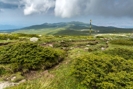 保加利亚舍尼弗拉峰附近维托沙山青山景观