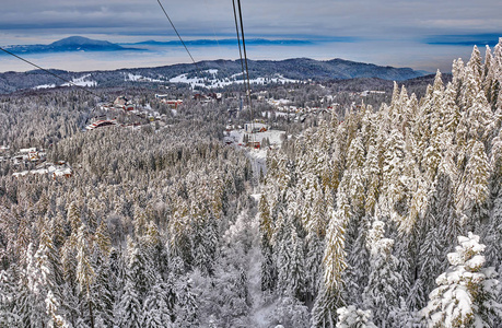 松林覆盖着雪，在波阿纳布拉索夫的冬季高山景观上，可以看到滑雪板上的斯洛佩特兰西瓦尼亚罗马尼亚