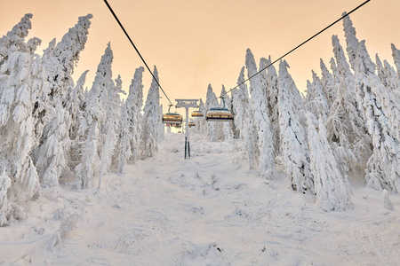 在波阿纳布拉索夫滑雪场滑雪者和滑雪板者享受在波阿纳布拉索夫冬季度假胜地的滑雪坡，在冬季被雪覆盖的森林里。