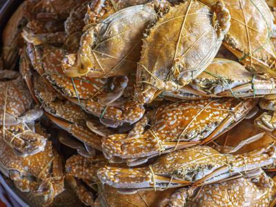 巨大的蒸蟹被堆放准备吃。柔和的焦点。
