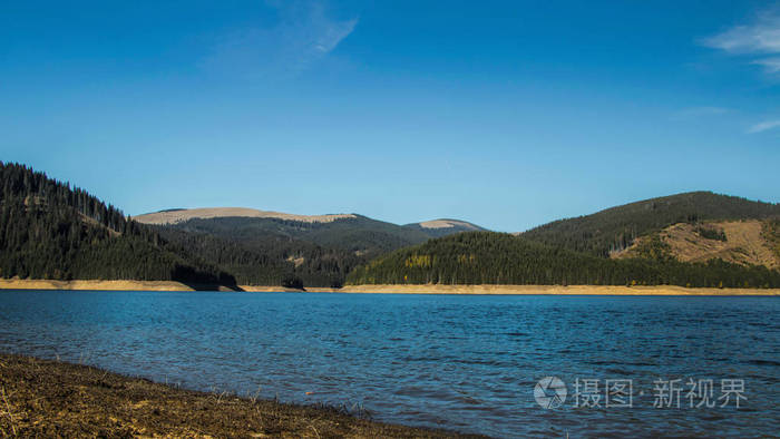 湖泊和森林田园风光