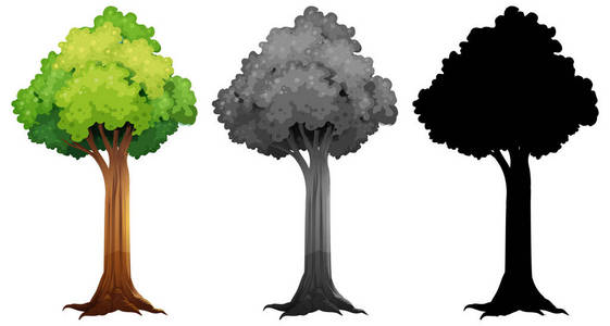 一组不同的树设计插图