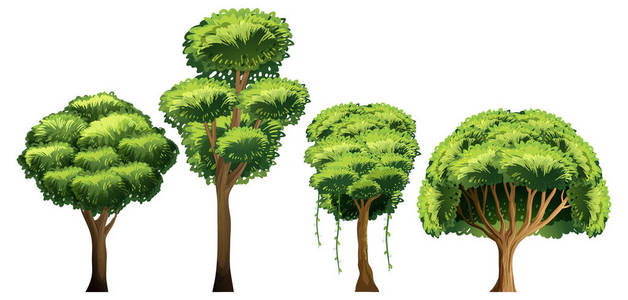 一组不同的树插图