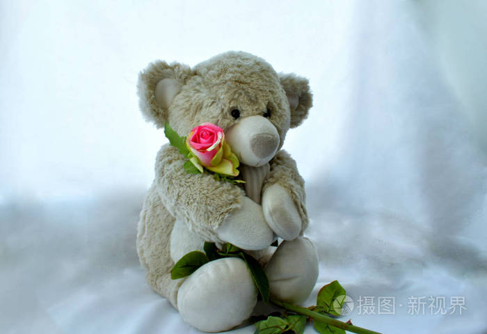 带玫瑰花的泰迪熊