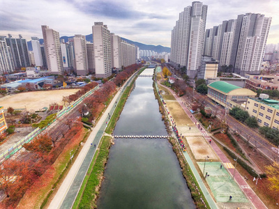 韩国釜山公民公园秋