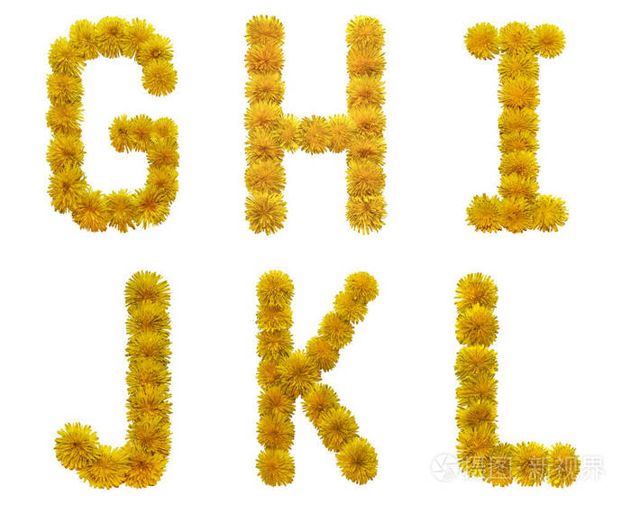 英语字母表的字母是从黄色的花中收集的。 孤立于白色背景